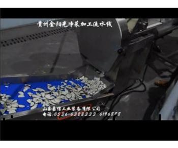 貴州金陽(yang)光(guang)淨(jìng)菜(cai)加(jia)工(gong)流水(shui)線(xian)